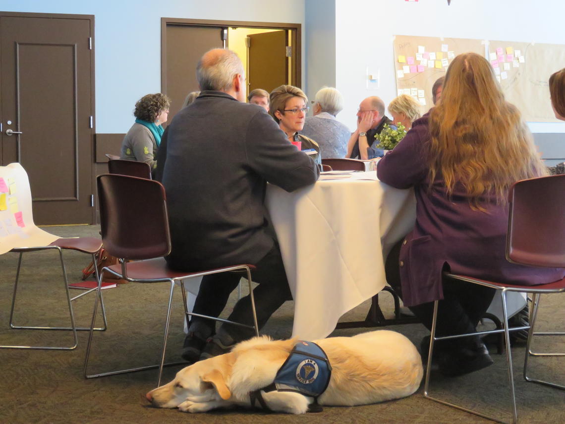 Multidisciplinary retreat brought together colleagues from several faculties and patient representatives (some with their dogs) for a two-day retreat at the University of Calgary. 