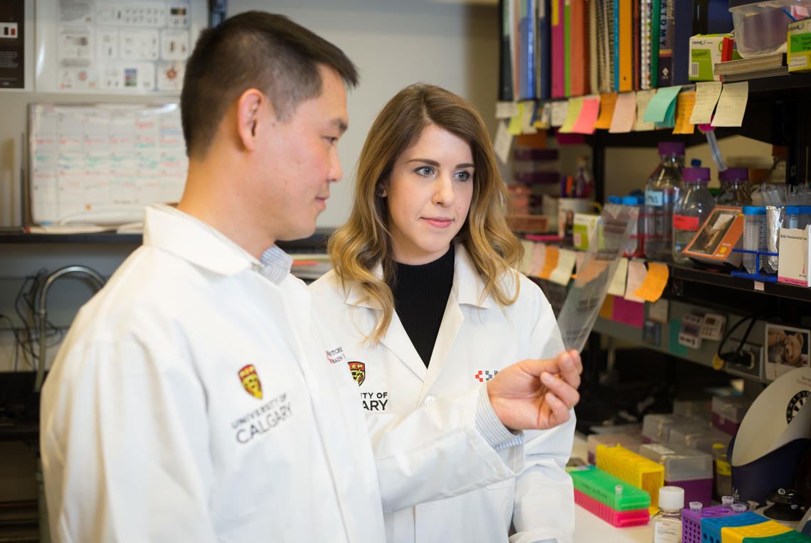 Neuroscientist Tuan Trang, PhD, and PhD student Nicole Burma along with a team of researchers discovered that an existing anti-gout medication is effective in reducing the severity of withdrawal symptoms in opioid-dependent rodents.