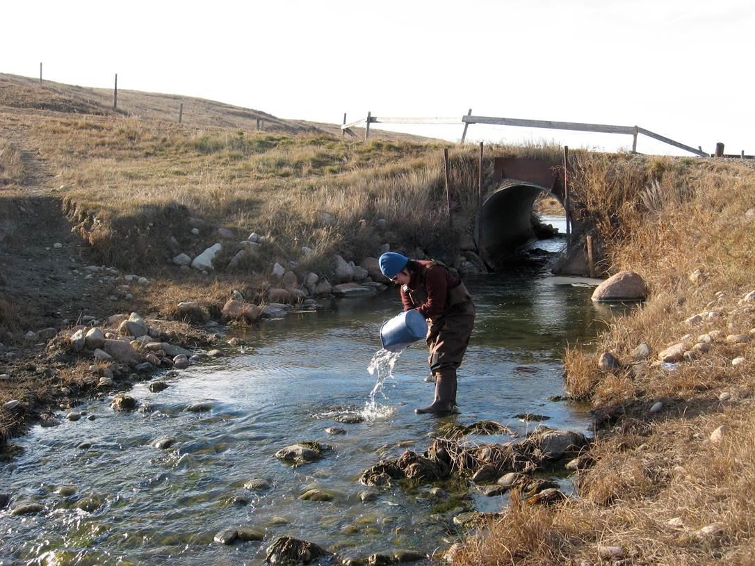 Graduate student June Chao, who works with Bernhard Mayer’s research group, is pictured here sampling water in the Bow River.