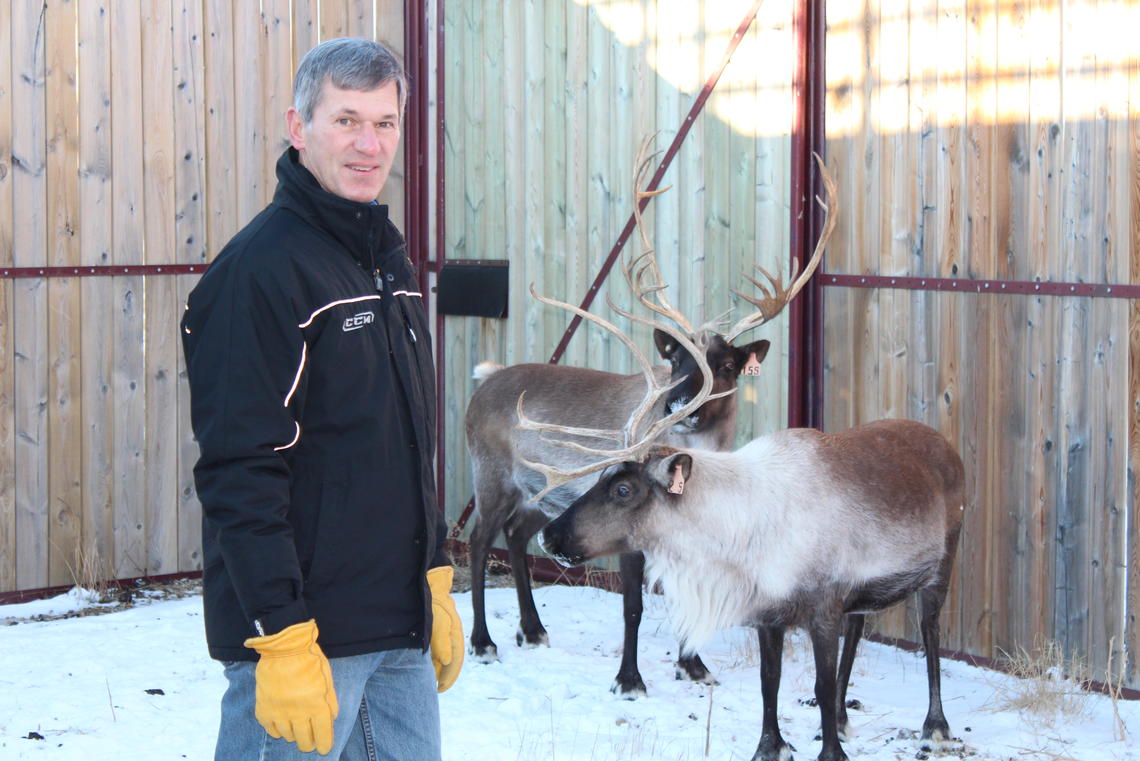 Dr. John Matyas and reindeer