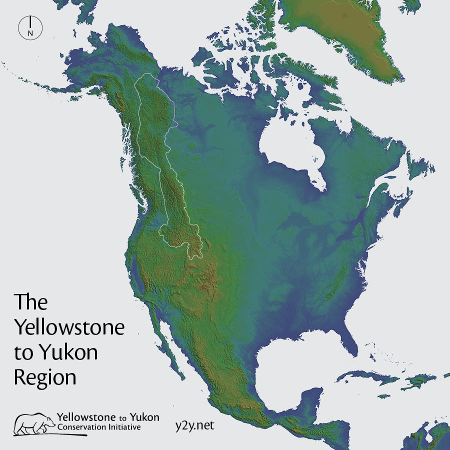 The Yellowstone to Yukon region in North America