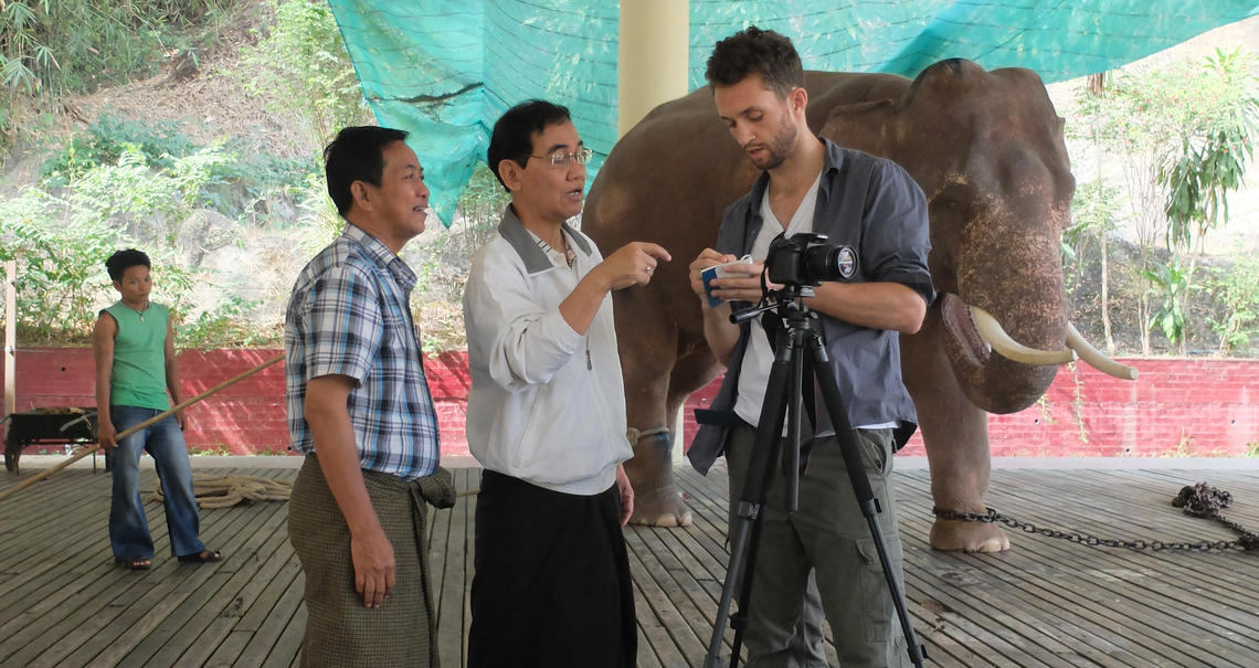 Dr. Zaari volunteering at the Royal White Elephant Gardens in Yangon, Myanmar.