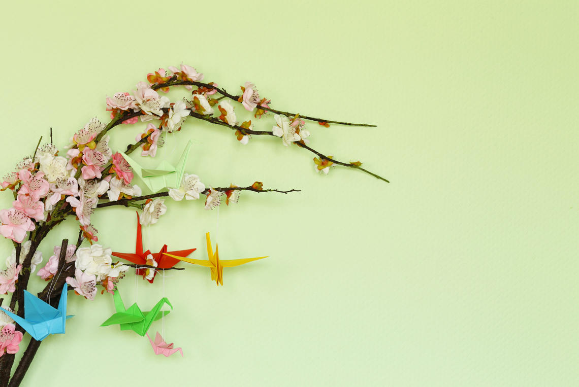 Cherry blossoms and paper cranes