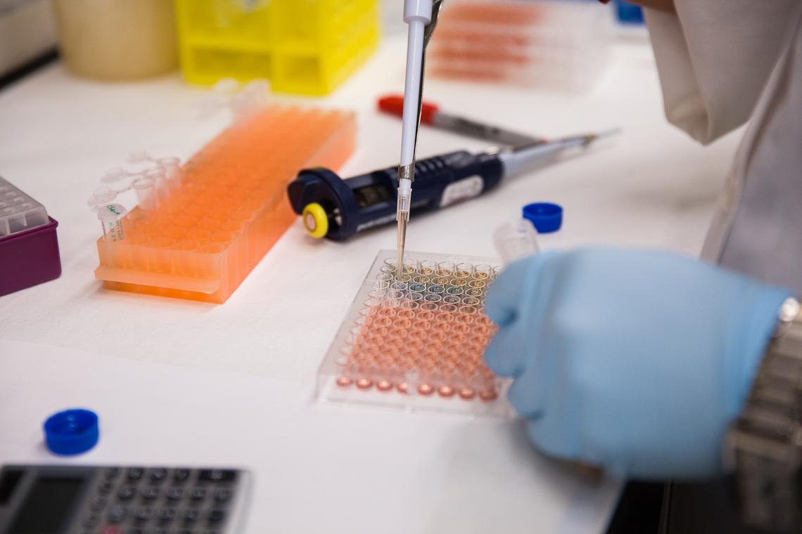 Closeup of lab work at the Snyder Institute for Chronic Diseases
