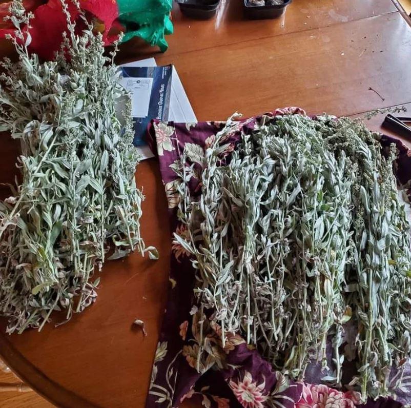 Sage smudge part of Moon Time Bags