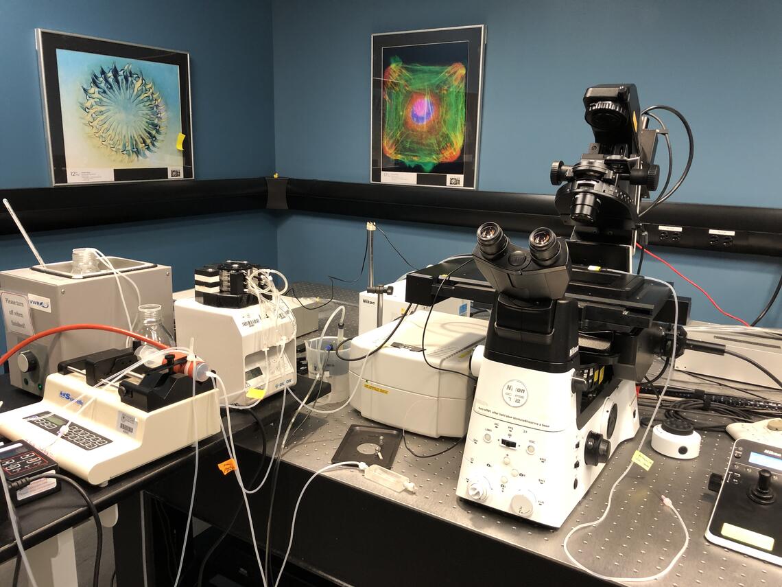 World-class equipment in the Live Cell Imaging Lab