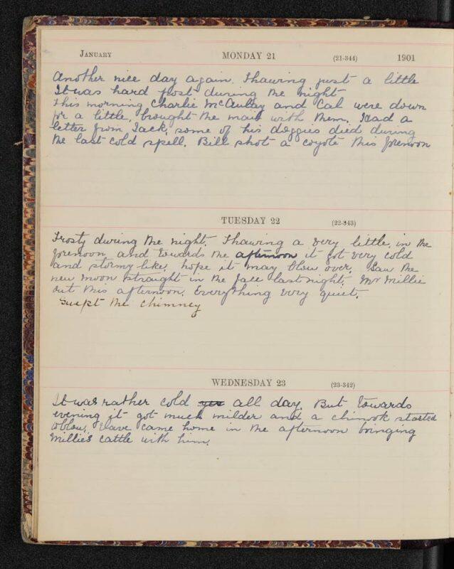 A page from Eliza Jane Wilson’s 1901 diary.