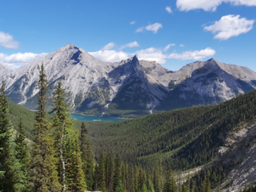 A view from the top of Old Goat Glacier Trail