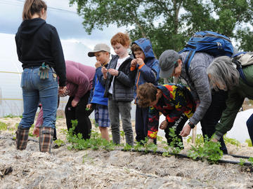 Students engage in hands-on learning at Highfield Regenerative Farm 