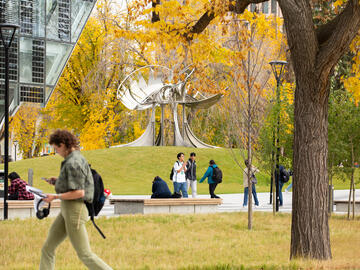 fall on main campus