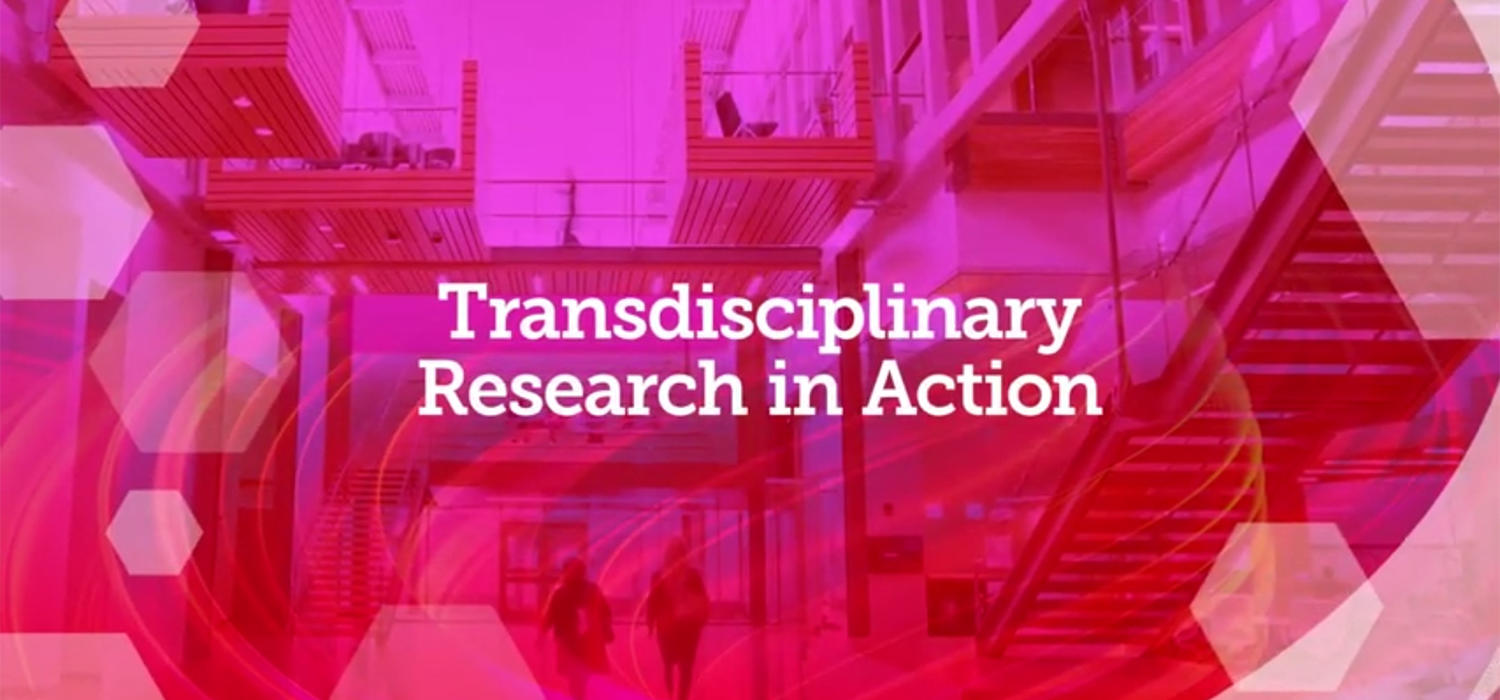  Transdisciplinary Research Banner stylized