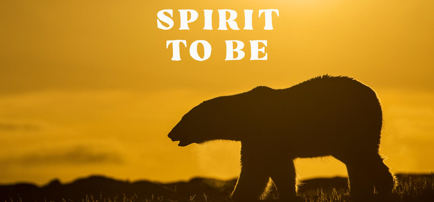 Spirit to Be, Craig Ginn, University of Calgary