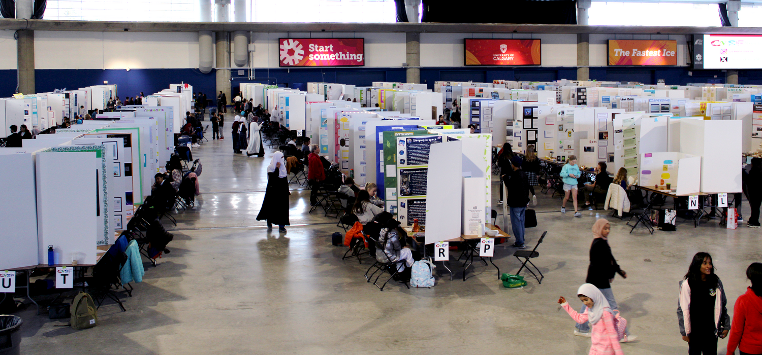 Overhead view of rows of poster projects at CYSF