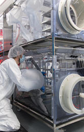 A researcher prepares the isolator in the Axenic Breeding room at the International Microbiome Centre's germ-free facility at the University of Calgary. Photo by Don Molyneaux 