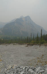 Student discovers link between wildfire smoke and river water quality