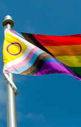 UCalgary Pride flag