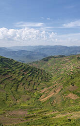 Photograph of Rwanda countryside