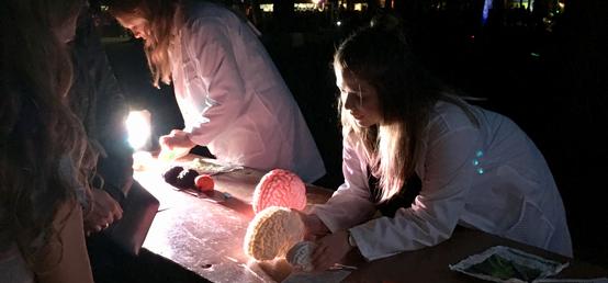 Research connects with community at UCalgary Beakerhead booths