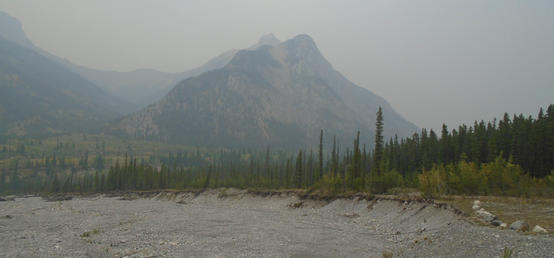 Student discovers link between wildfire smoke and river water quality