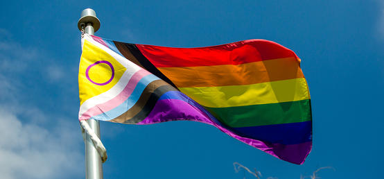 UCalgary raises intersex-inclusive Pride flags in support and celebration for Calgary Pride