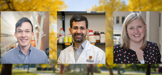 Killam Emerging Research Leader Awards recognize exceptional contributions of early-career faculty