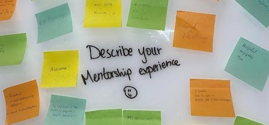 Why You Should Join the Mentorship Program