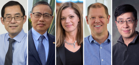 Schulich faculty members named Fellows of Canadian Academy of Engineering