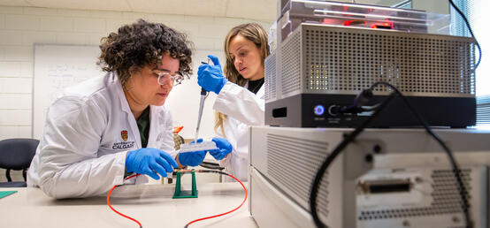 UCalgary researchers develop innovative test for biocompatibility of medical devices and implants