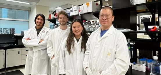 UCalgary research reveals how special cells act as ‘sentinels’ of the immune system