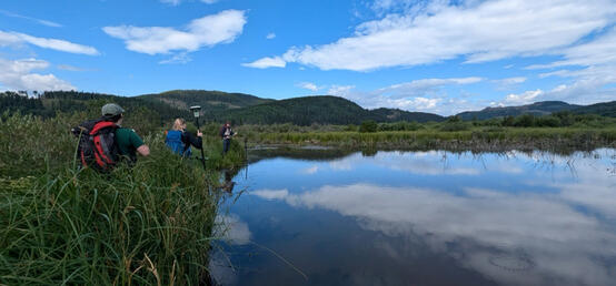 Notes from the field: Researchers map impact of beaver dams and logging on Kananaskis ecosystem