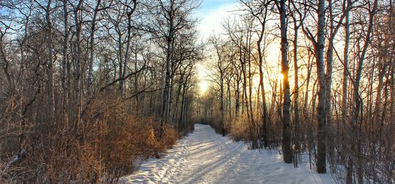 Academic wintering: Finding warmth and comfort in the cold season